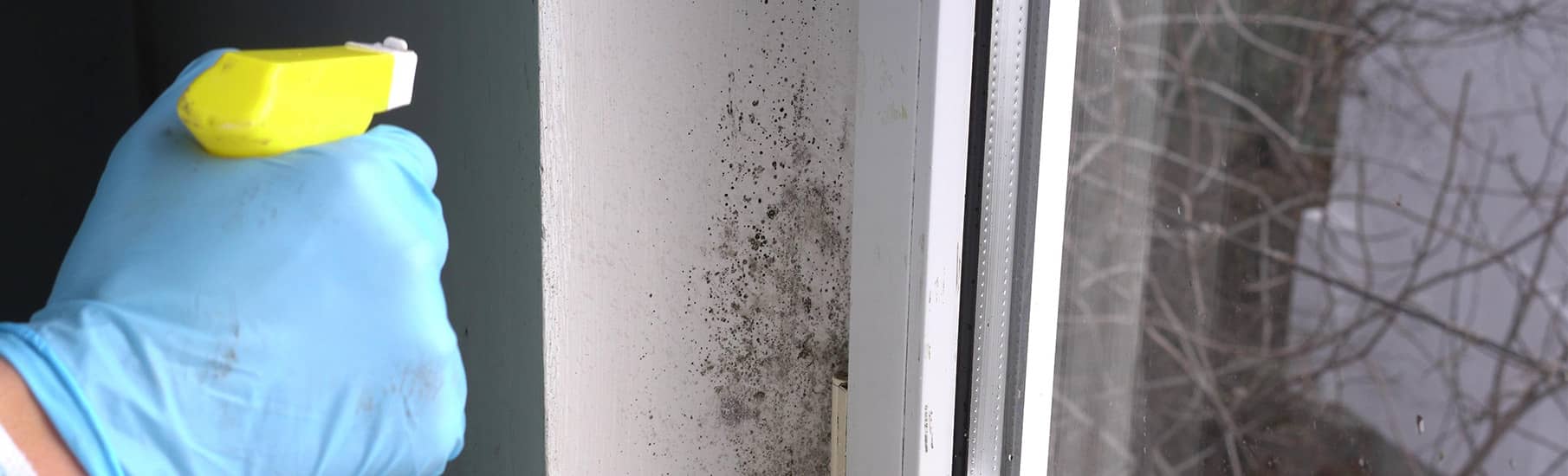What’s the difference between condensation and damp?